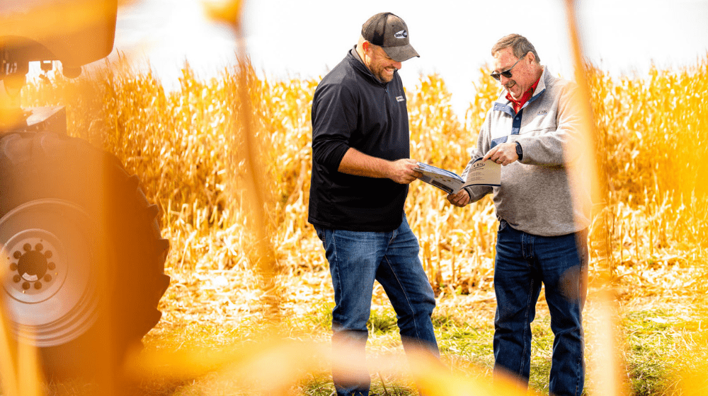 Two men in a wheat field