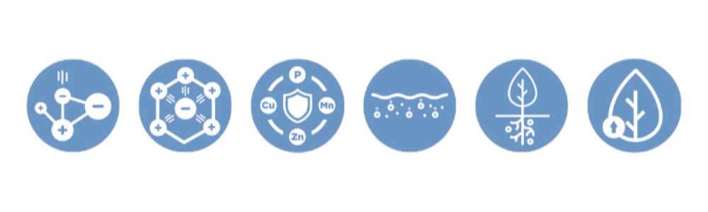Levesol chelate graphic
