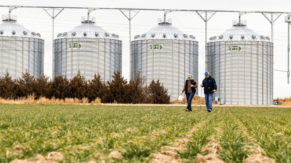 Two people walking a crop field