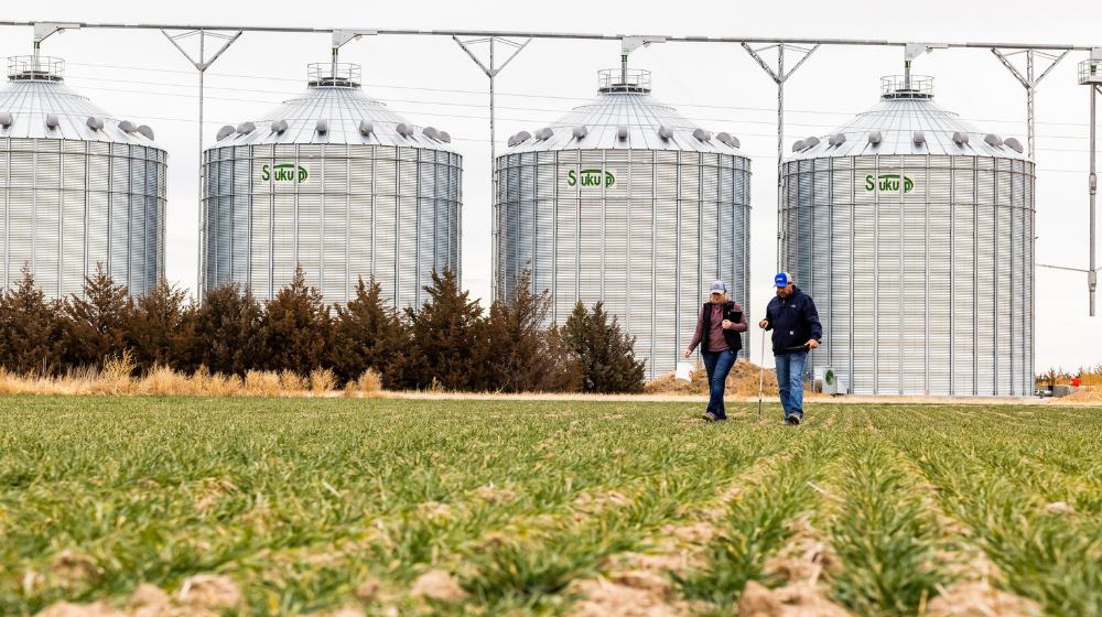 Two people walking a crop field