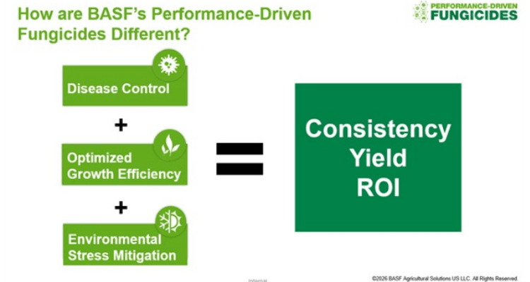 How are BSAF's performance driven fungicides different?
