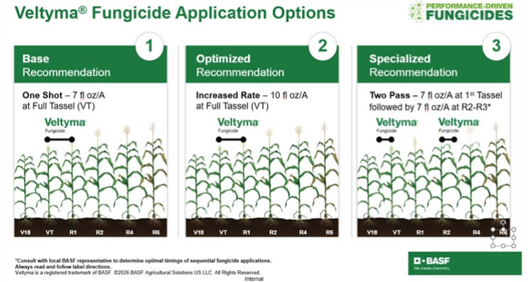 Veltyma fungicide application options diagram