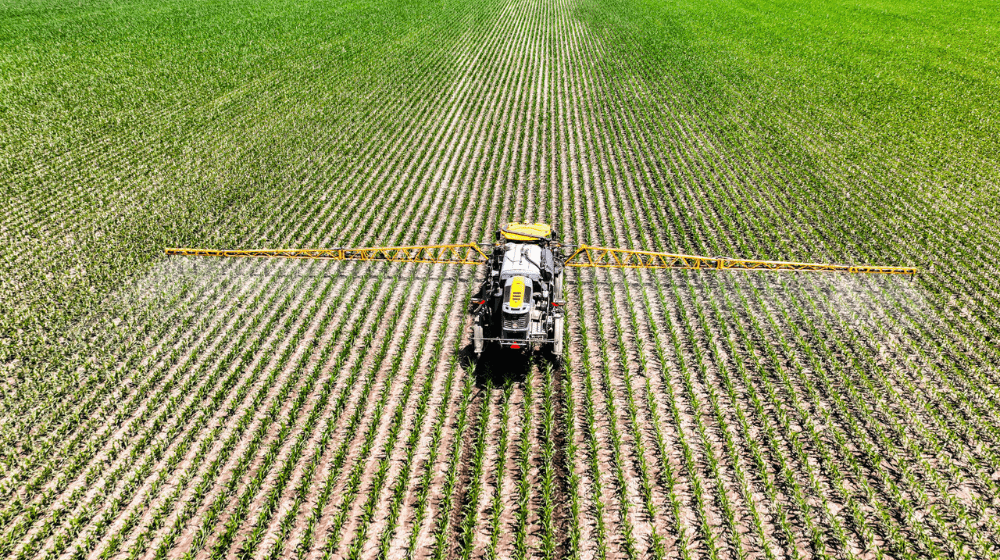 Sprayer in a field of young crops