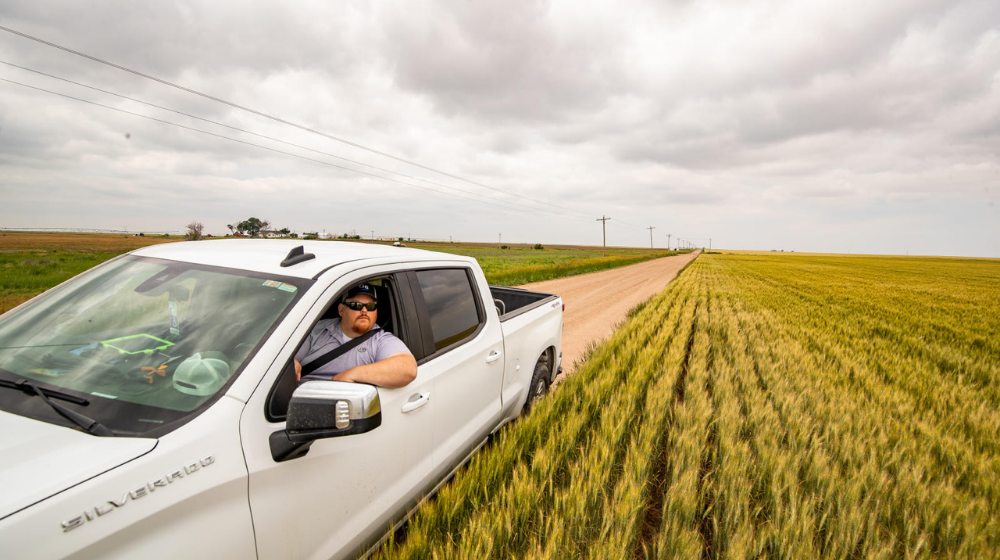 Man driving a truck on a dirt road between crop fields