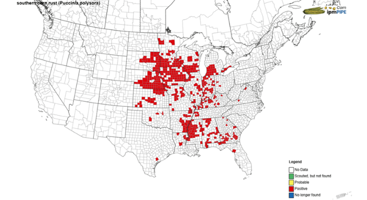 Map of southern corn rust