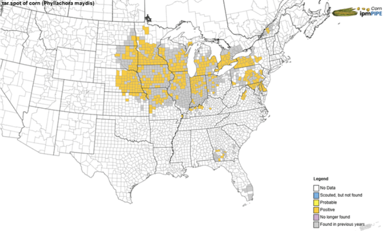 Tar spot of corn map