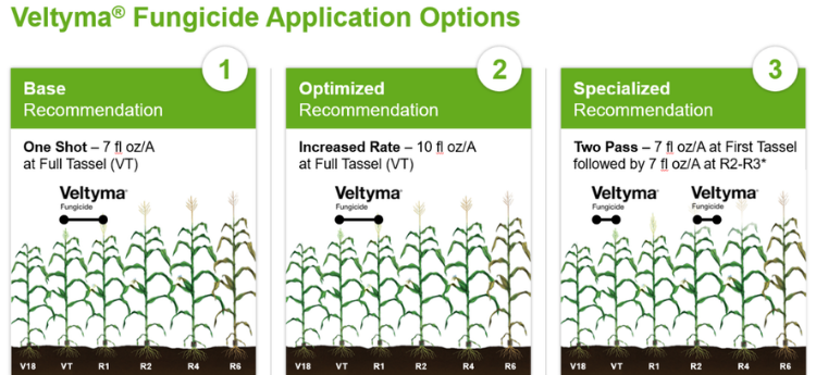 Veltyma fungicide application options