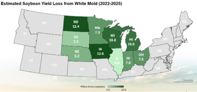 Map of states effected by white mold in soybeans