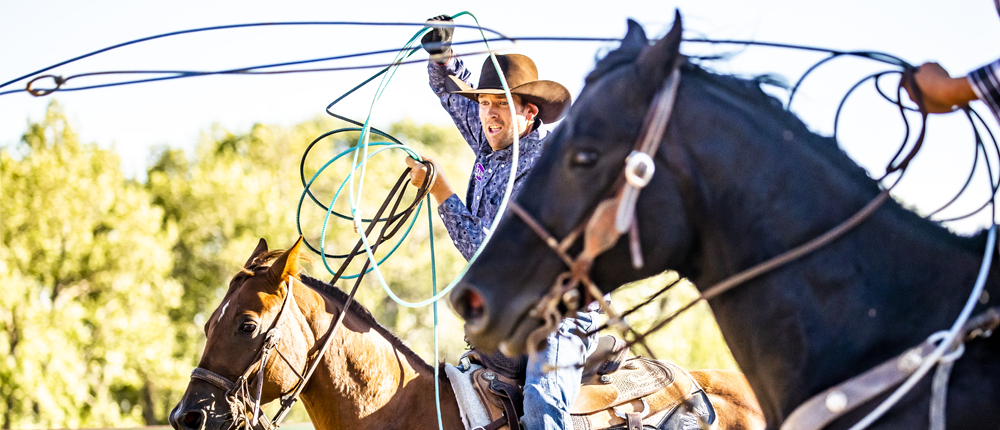 Sid sporer lassoing on a horse