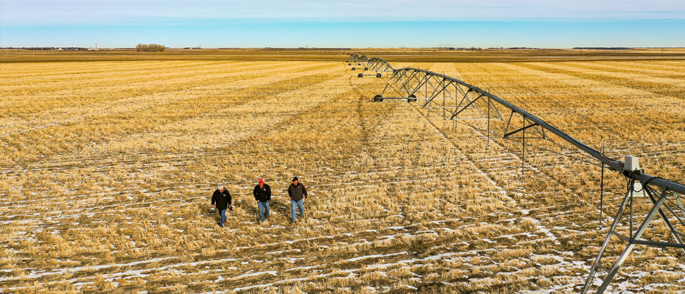 Men walking in field next to irrigation equipment