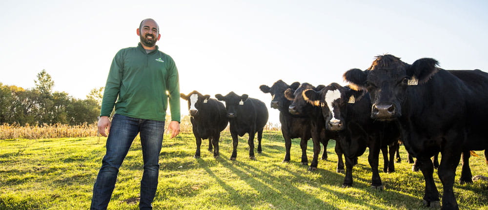 A man stands in a field with Simmental cattle.