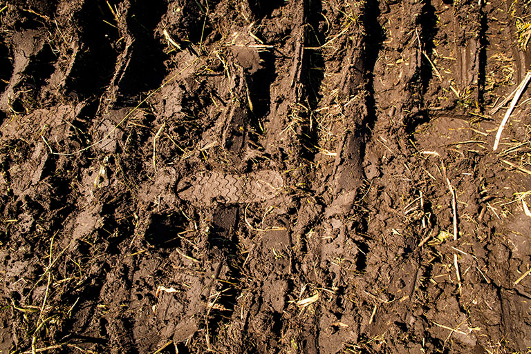 Mud is under the soles of boots throughout the Godward operation much of the year.