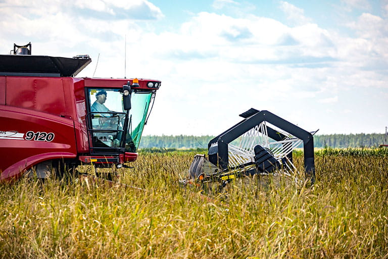 Current farm patriarch Tom Godward runs his favorite combine through a rice field. Over five decades, he has grown the northern Minnesota operation into a global business.