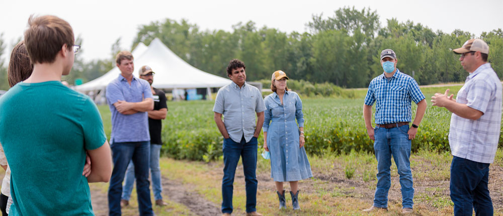 group people farm grand talking day