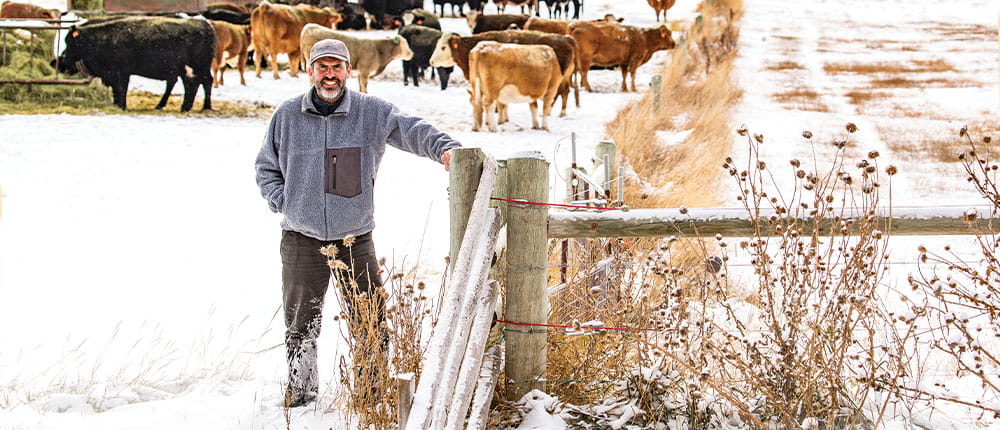 Man standing by fence and cattle, with a light dusting of snow on the ground