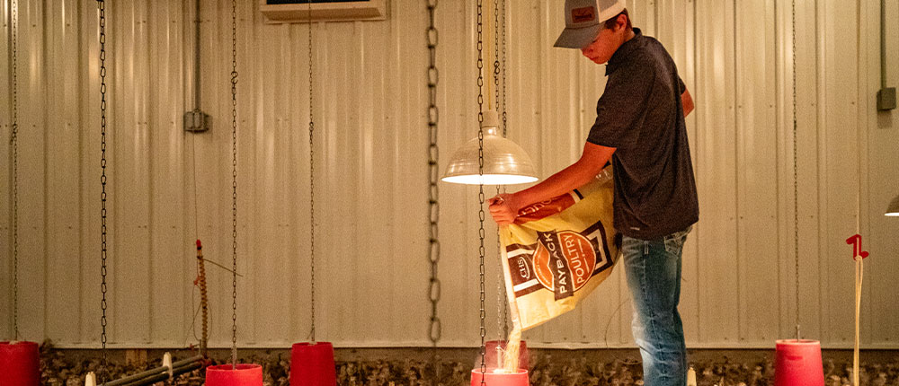 Teenage boy pouring feed from sack