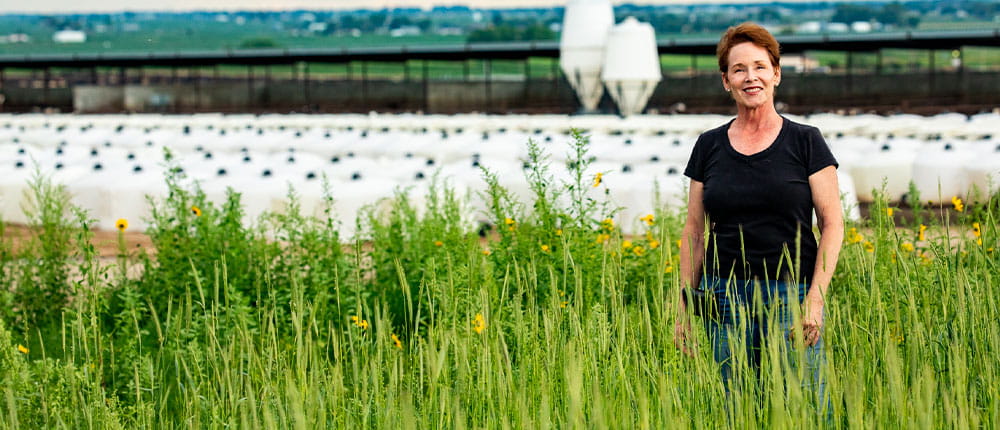 Mary Kraft standing in tall grass on dairy farm