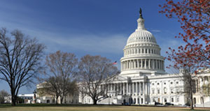 The Future of Renewable Fuels Policy