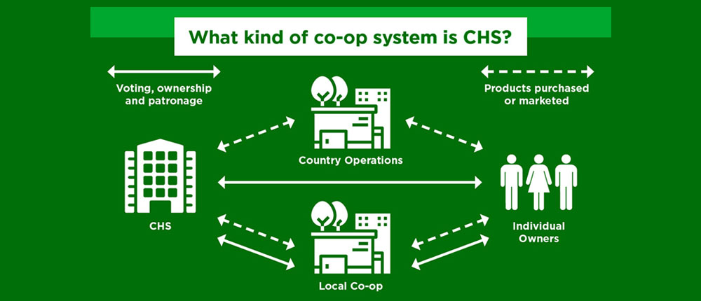 A chart depicting what kind of co-op system CHS is.