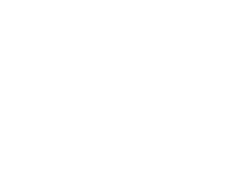 CHS logo