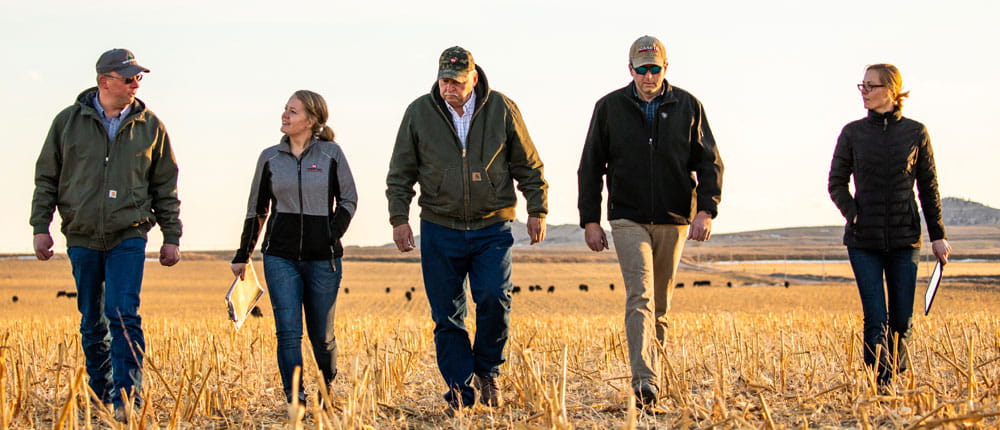 Five farmers, walking and talking on farm land.