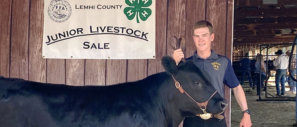 FFA member with black steer
