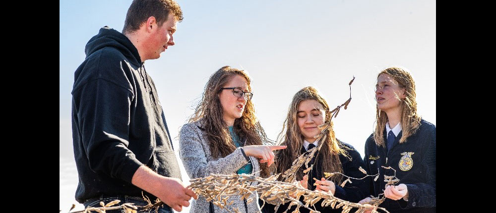 Teacher and students observe crops.