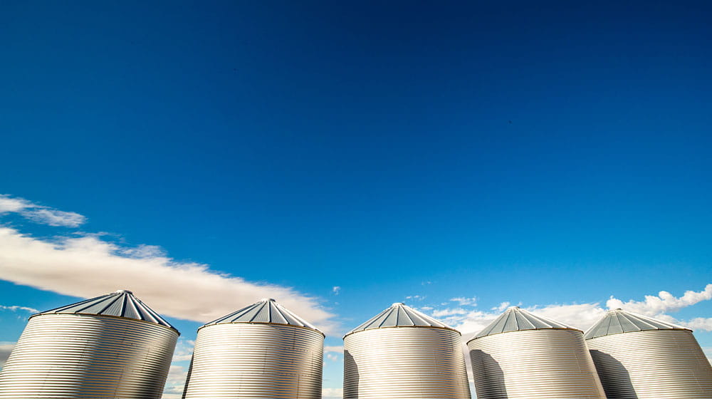 Grain bins