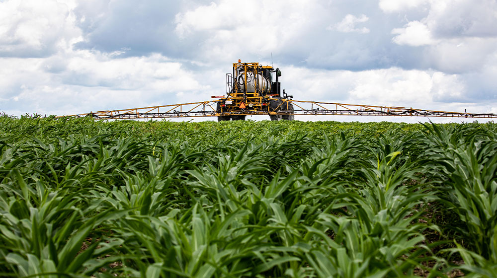 Crop application sprayer in a field