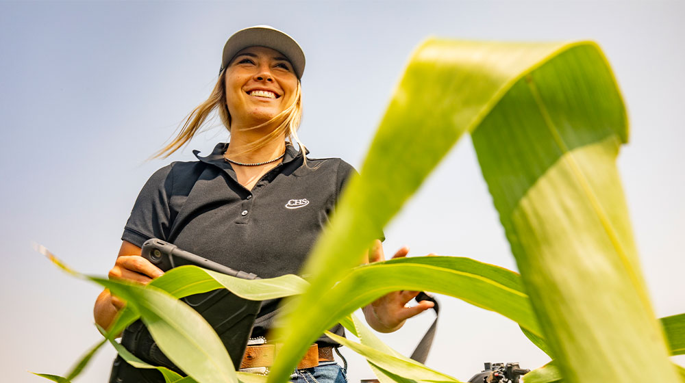 Woman standing in milo field