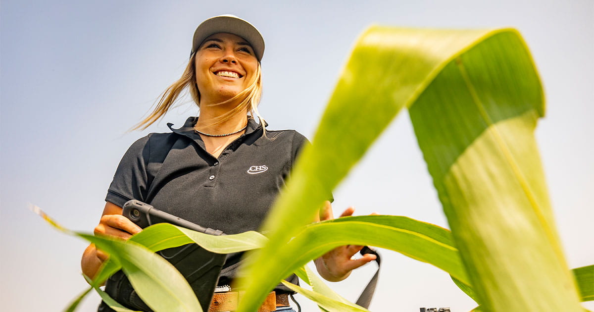 Woman standing in milo field