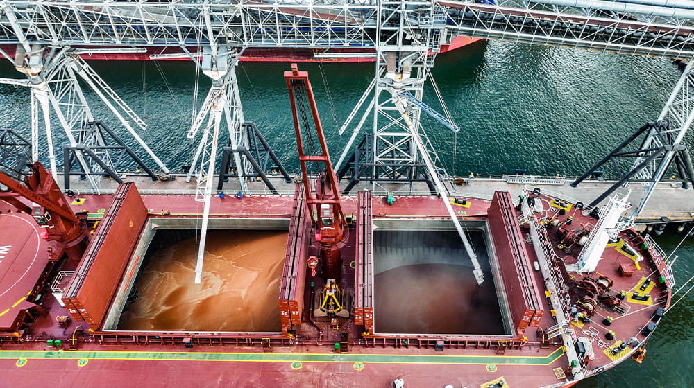 Sorghum being loaded onto barge