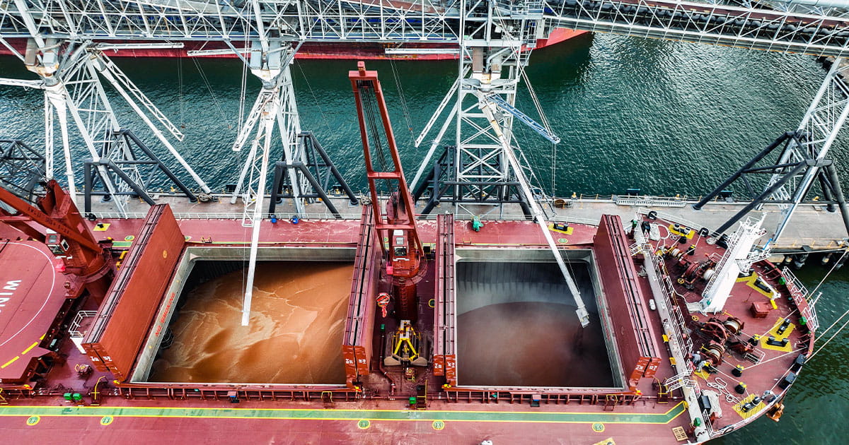 Sorghum being loaded onto barge