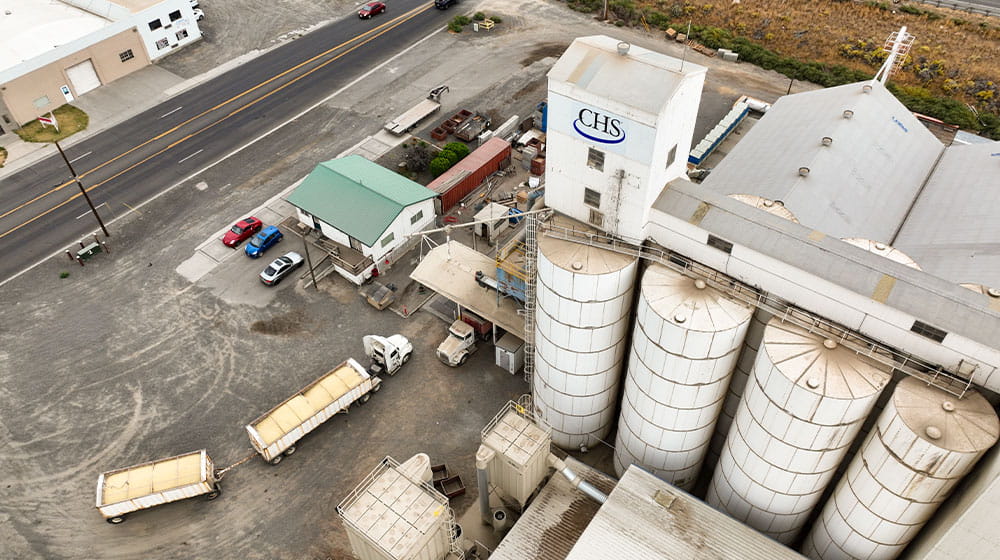 Dry bean processing plant