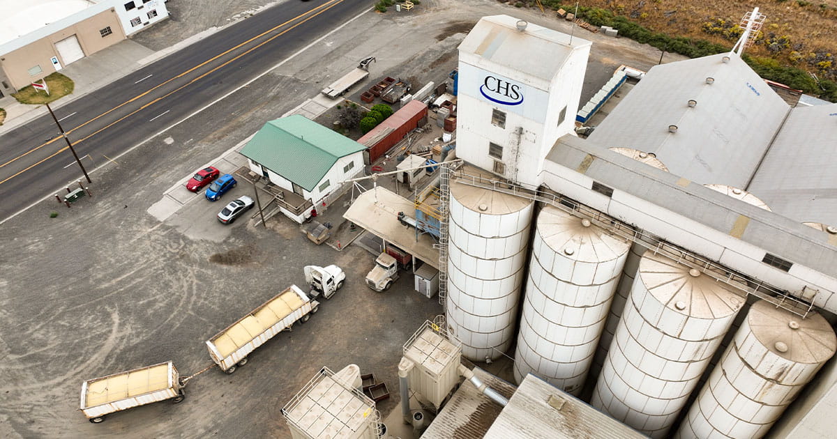 Dry bean processing plant