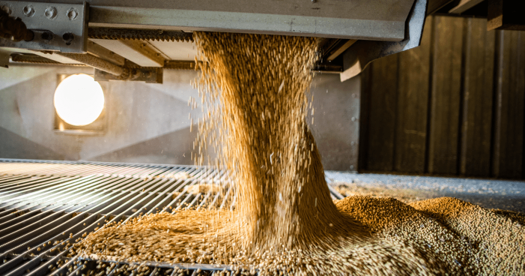 empying-soybeans-grain-terminal-1024x538