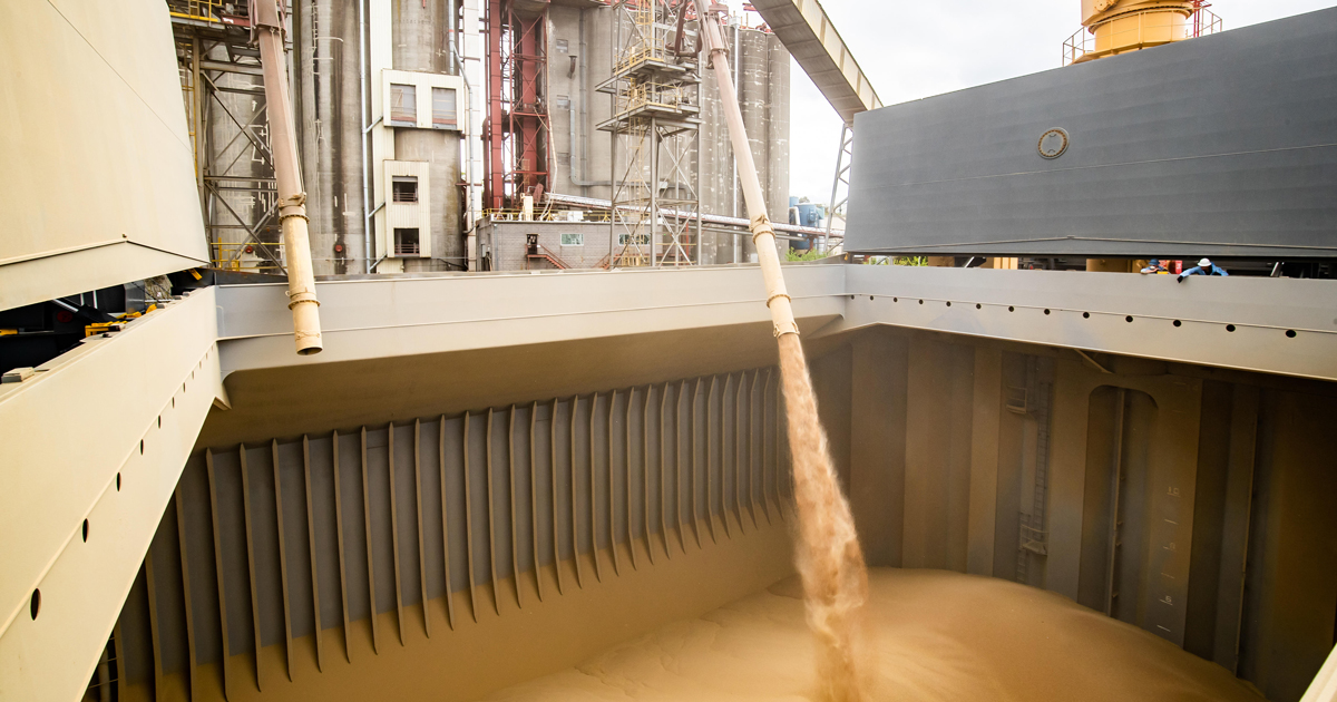 Wheat being loaded onto a cargo ship at a grain terminal