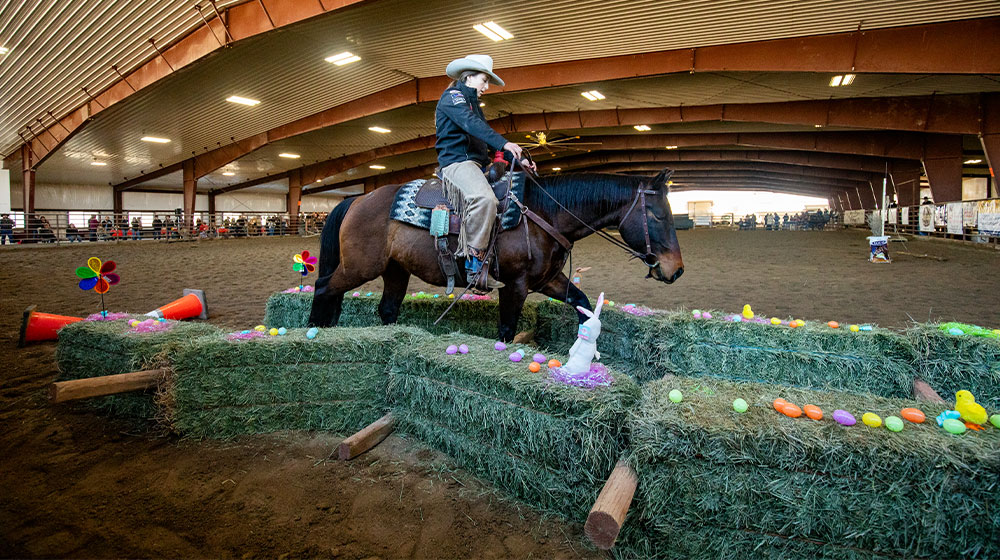 Horsemanship exemplified in Colt Challenge