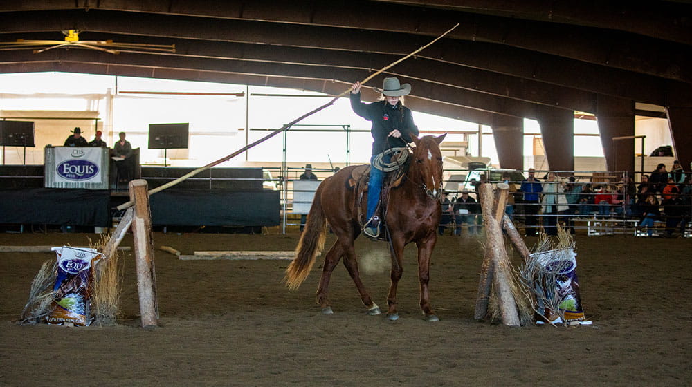 Horsemanship exemplified in Colt Challenge