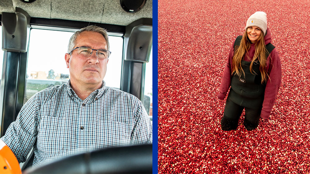 split image of a man in a tractor and a woman in a cranberry field