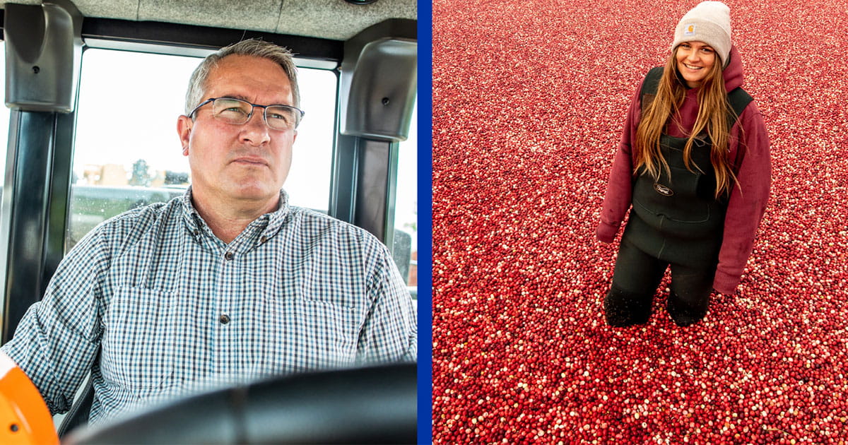 split image of a man in a tractor and a woman in a cranberry field