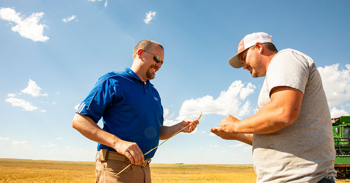 two men in a field