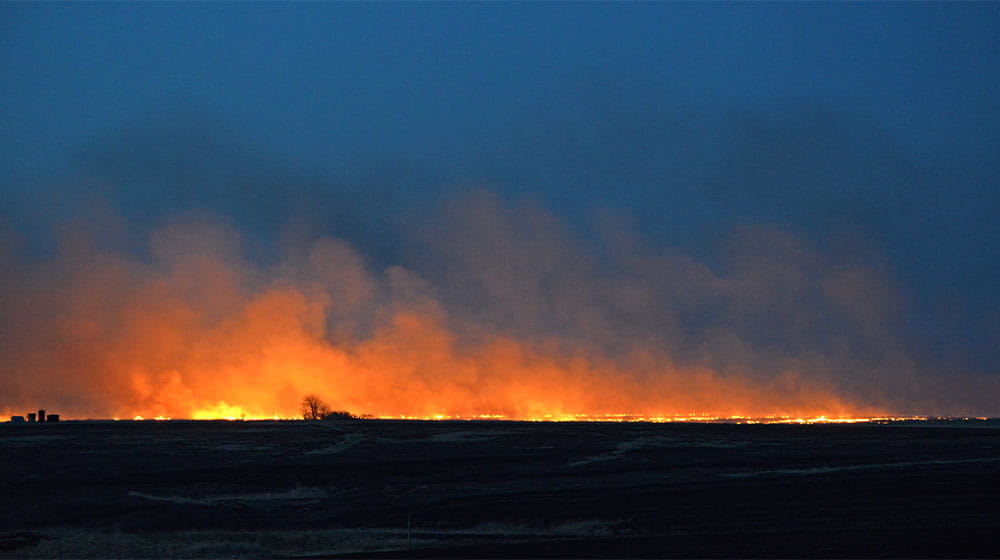 Wildfire in a field