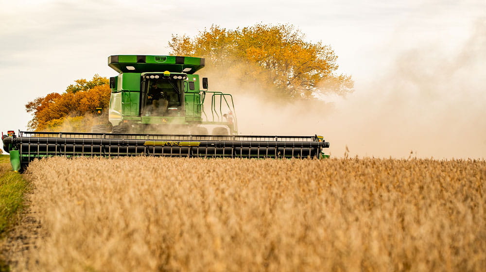 Combine harvesting crops