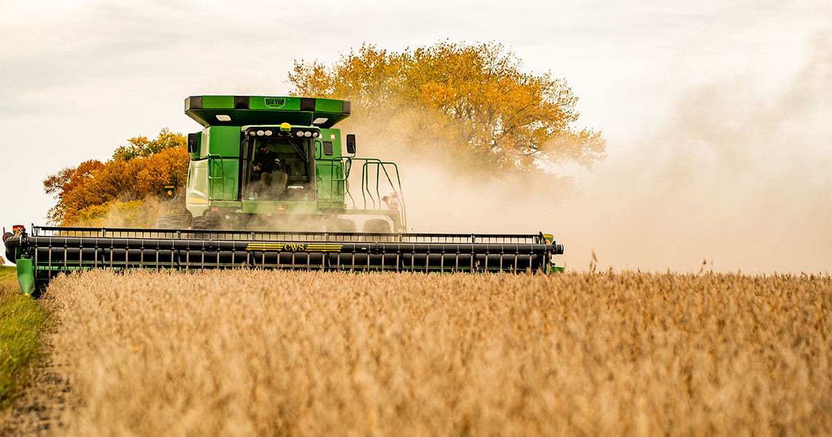Combine harvesting crops
