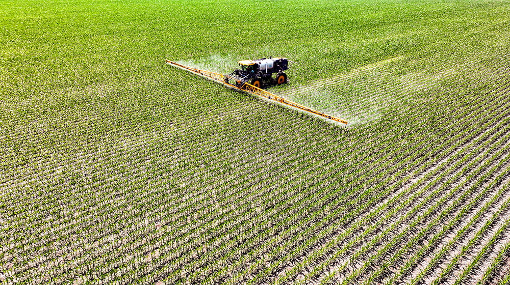 Self-propelled sprayer in corn field