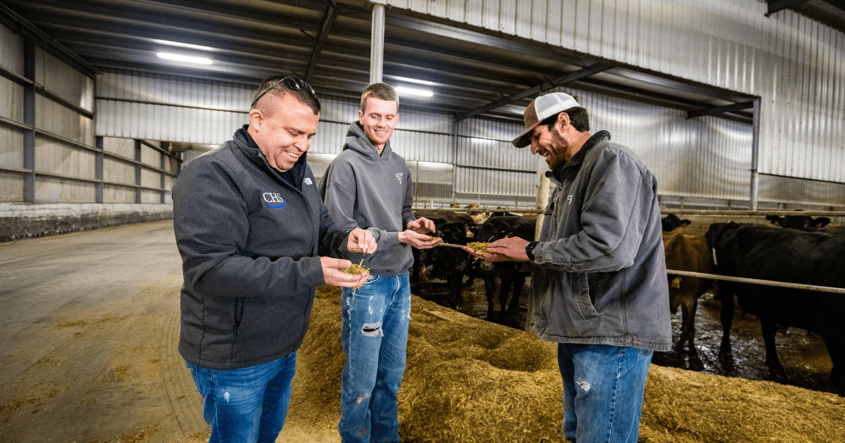 Three men in a dairy barn.