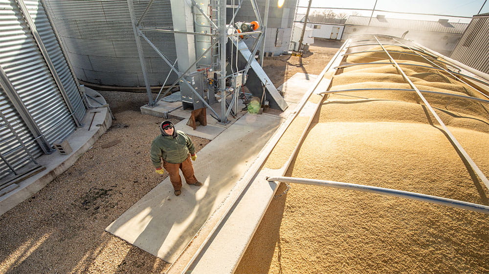 Farmer stands by semi being loaded with soybean meal