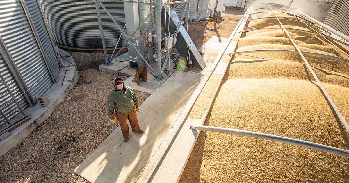 Farmer stands by semi being loaded with soybean meal.