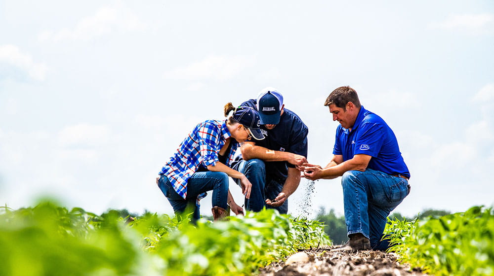 Three people scouting a field.